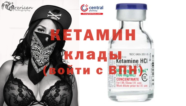 индика Алексин