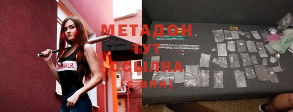 индика Алексин
