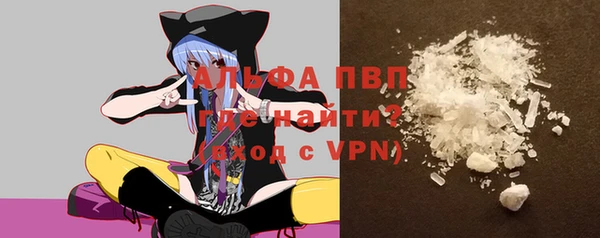 индика Алексин