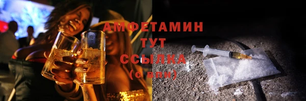 индика Алексин