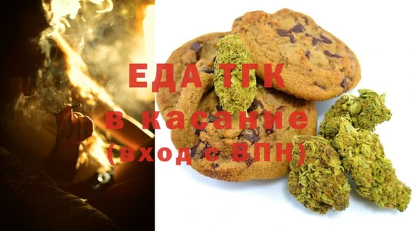 индика Алексин