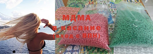 индика Алексин