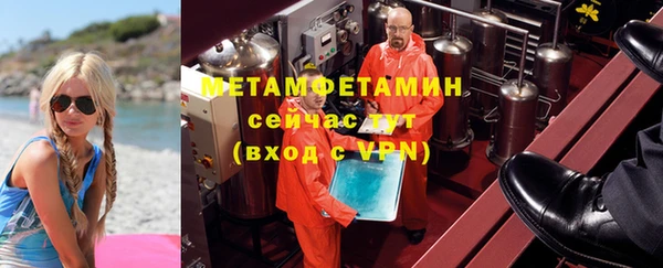 индика Алексин