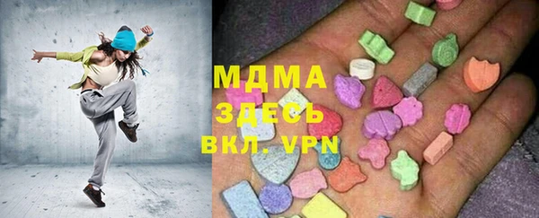 индика Алексин