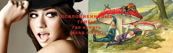 индика Алексин