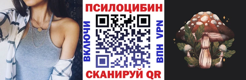 Псилоцибиновые грибы Psilocybe  blacksprut tor  Солигалич 